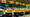 A row of school buses rests in a parking lot.