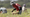 A farmworker hard at work in a field in Homestead, Florida.