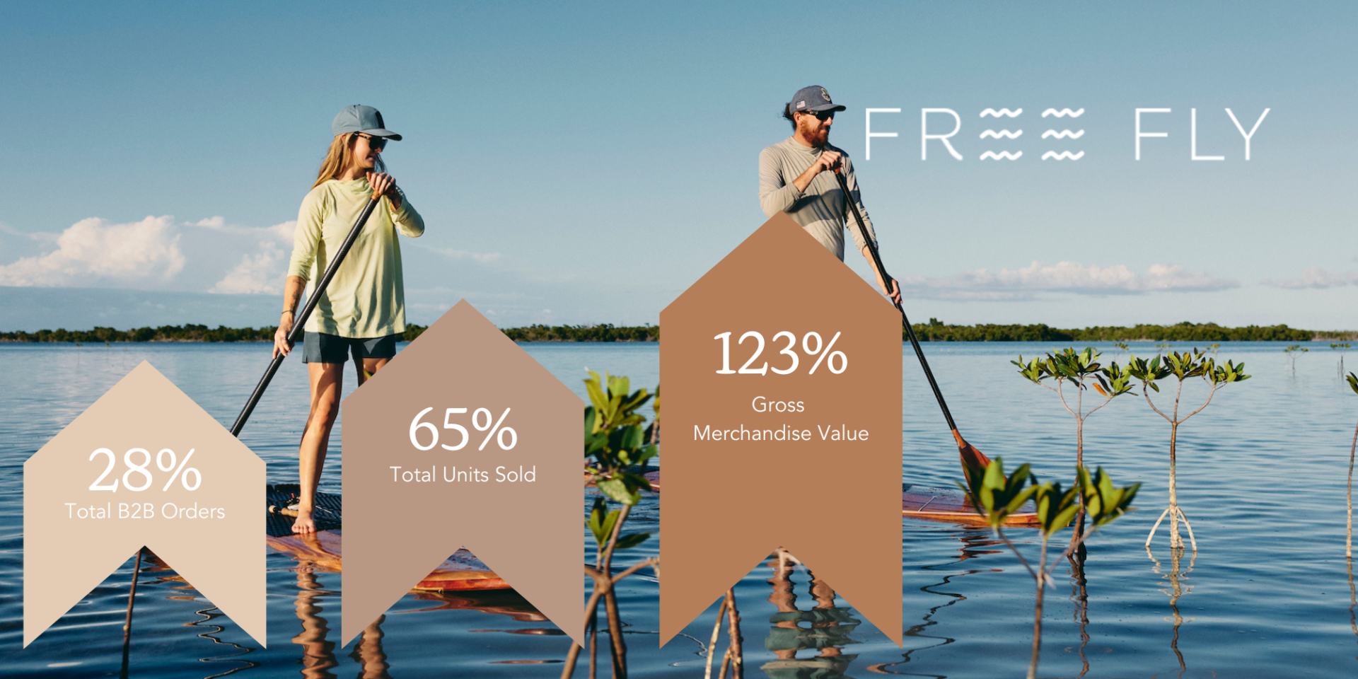 Free Fly metrics preview