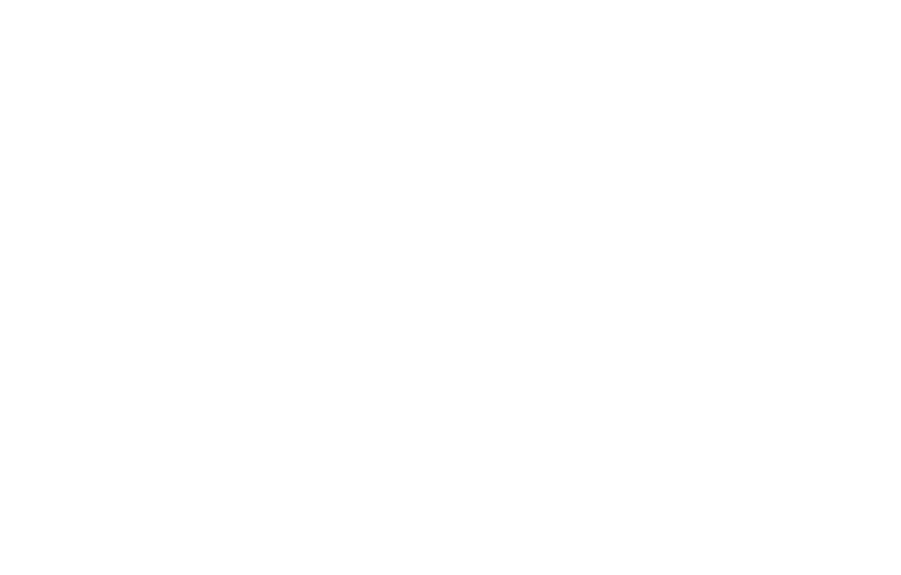 HEYDUDE