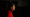 Gov. Nikki Haley addressing a crowd of supporters during an election night party in 2014. (AP Photo/Stephen B. Morton)