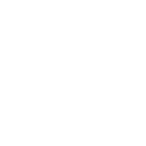 simms